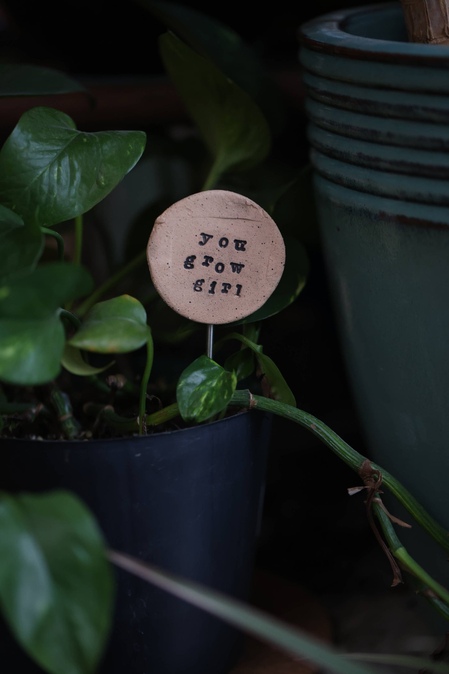 You Grow Girl - Plant Buddies