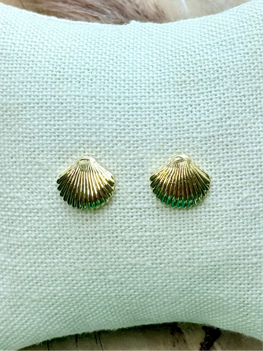 Gold Seashell Mini Stud Earrings