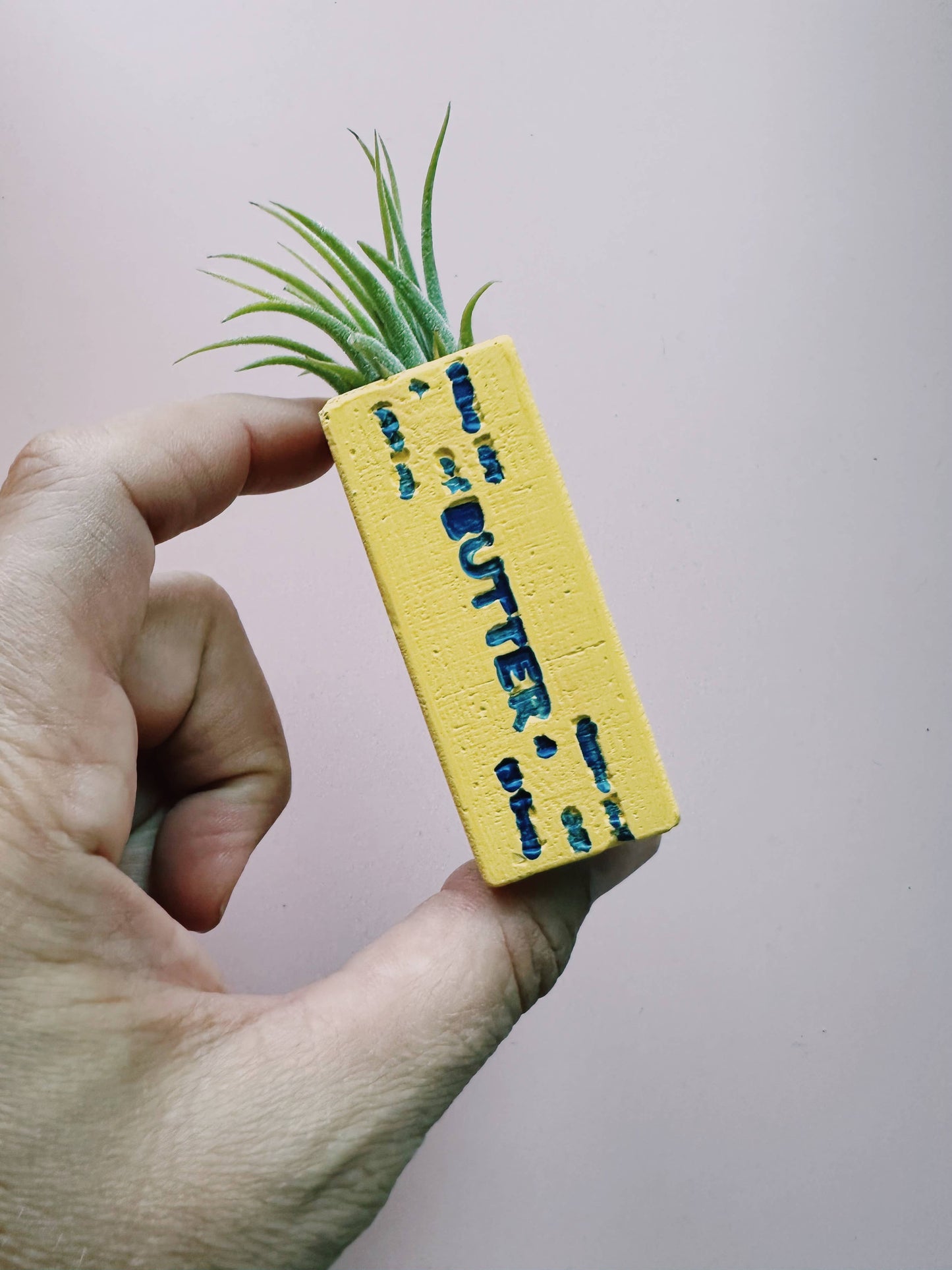 Butter Stick Mini Planter with Air Plant