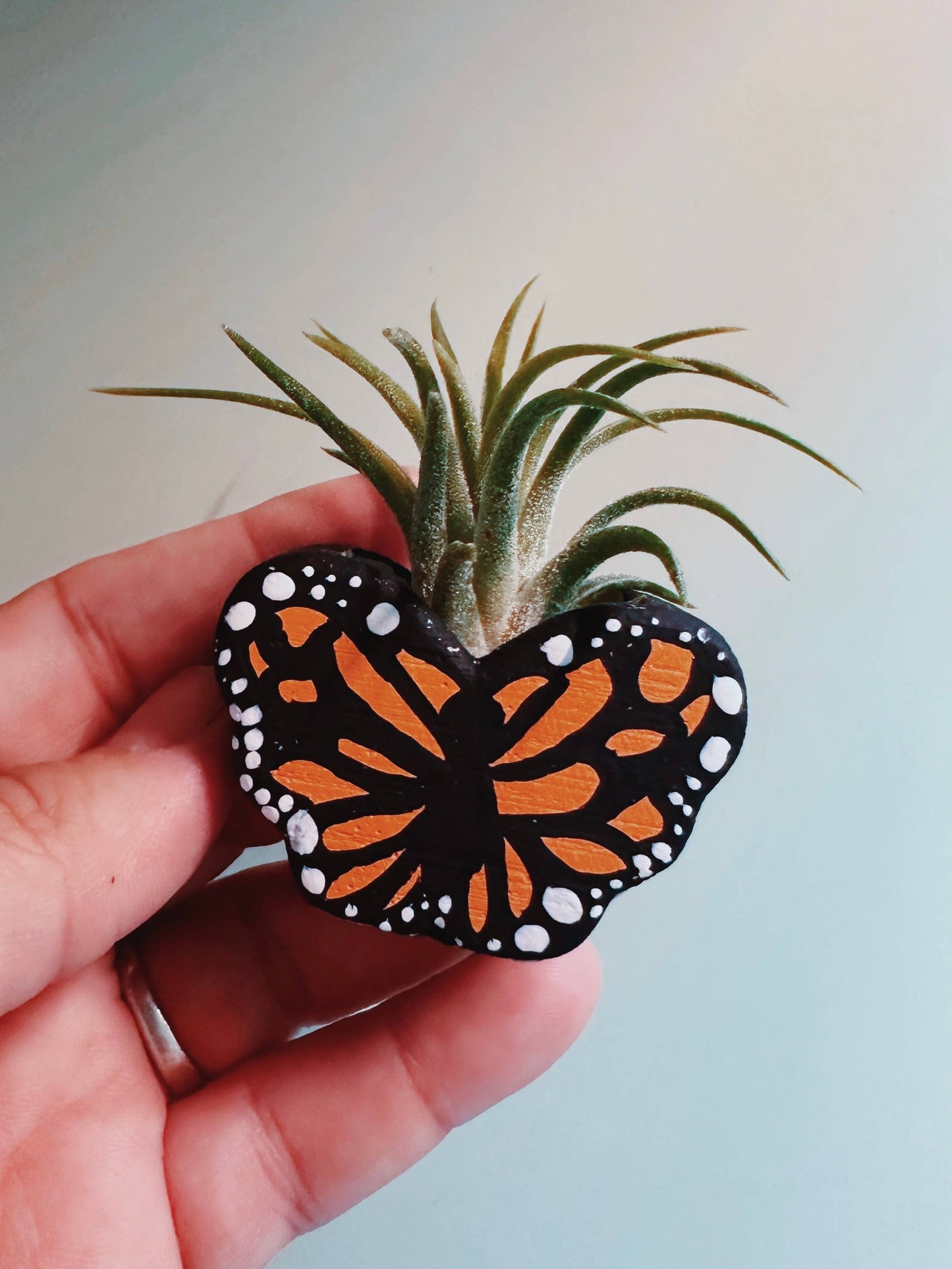 Monarch Butterfly Mini Planter with Air Plant