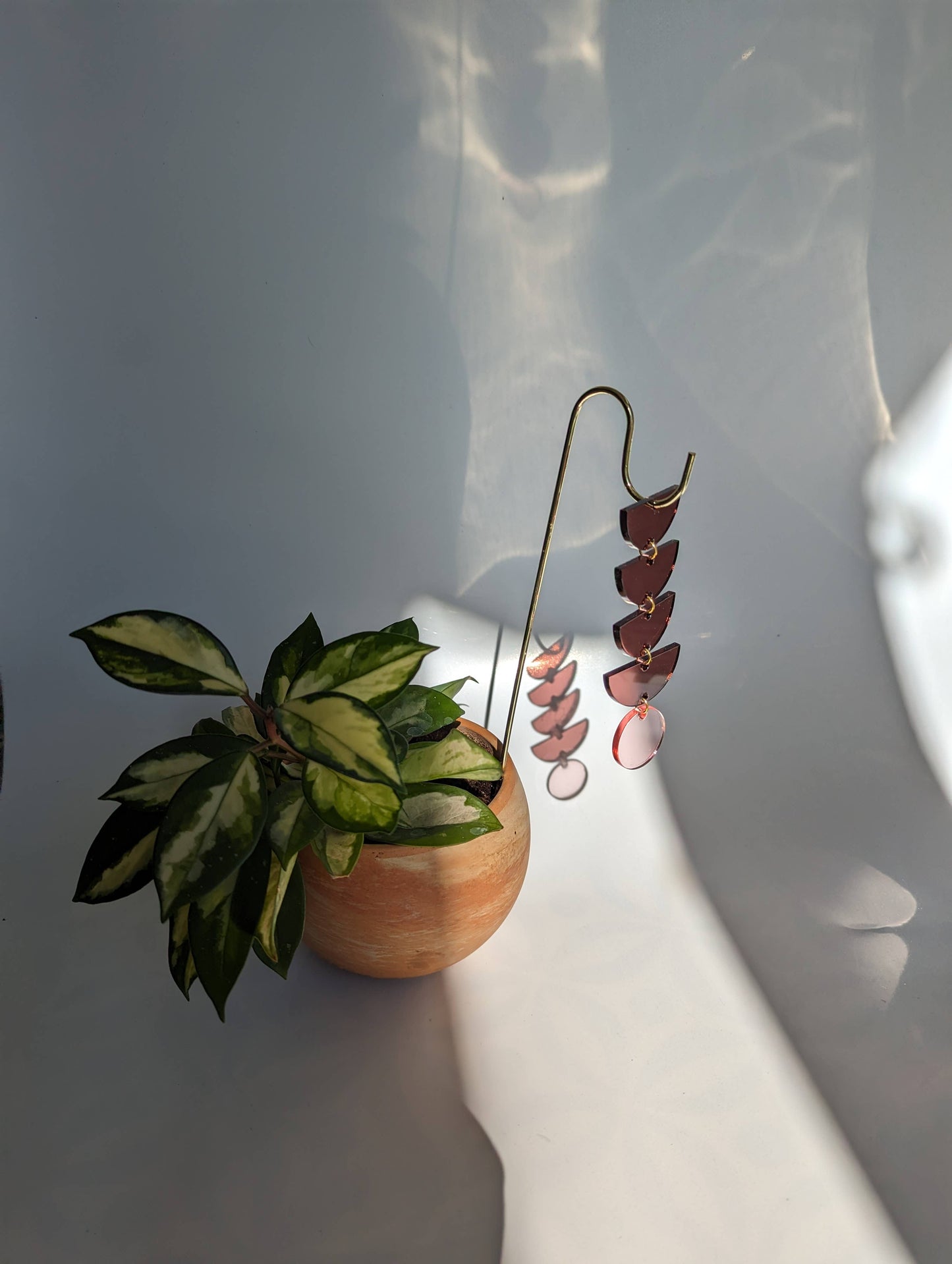 Mauve + Pink Sunrise Plant Pot Pick