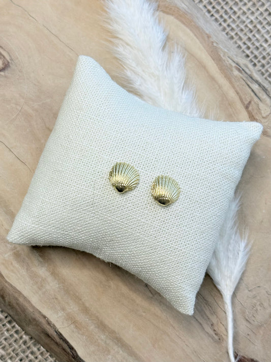 Gold Clamshell Mini Stud Earrings