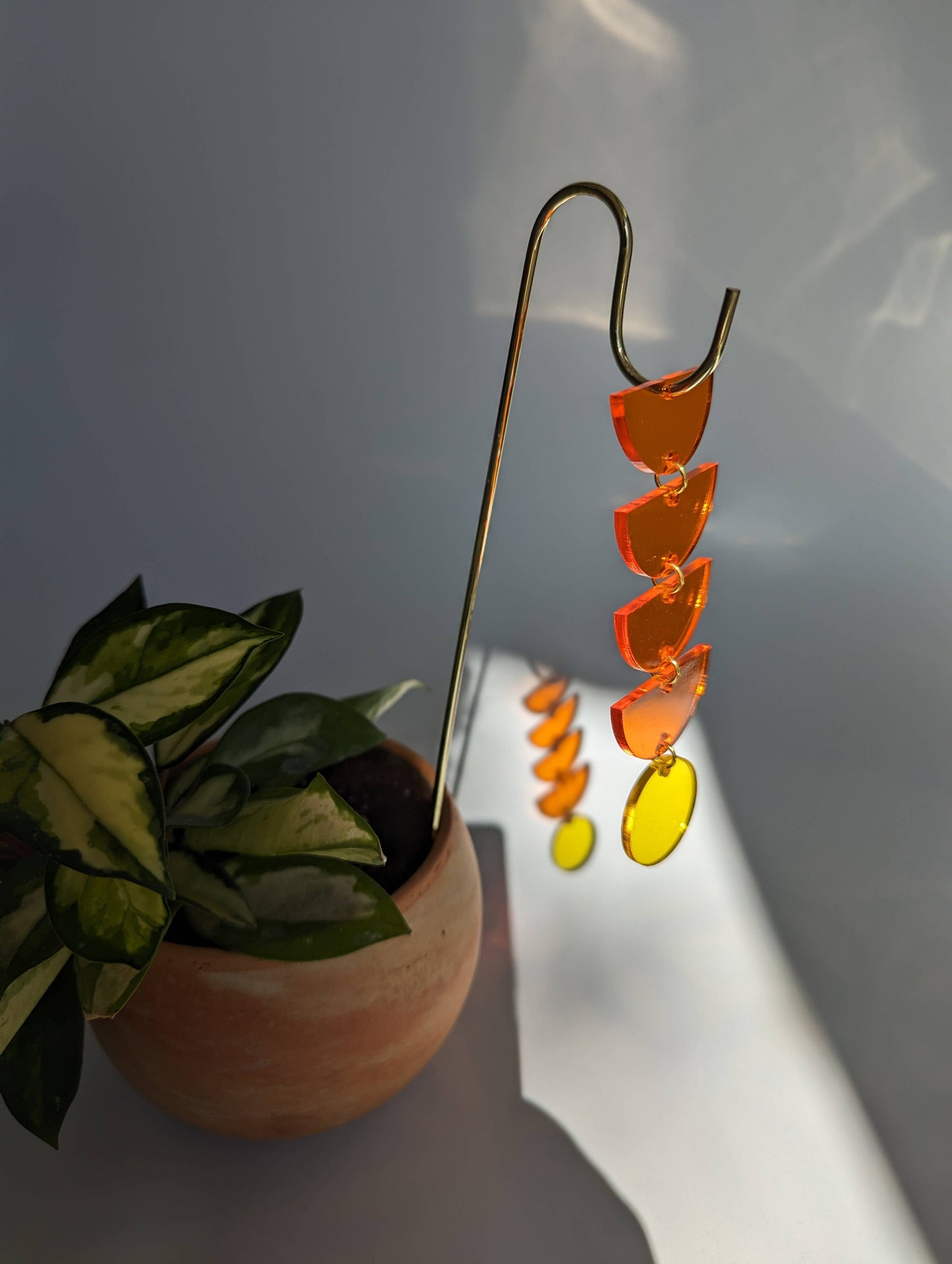 Orange + Yellow Sunrise Plant Jewelry