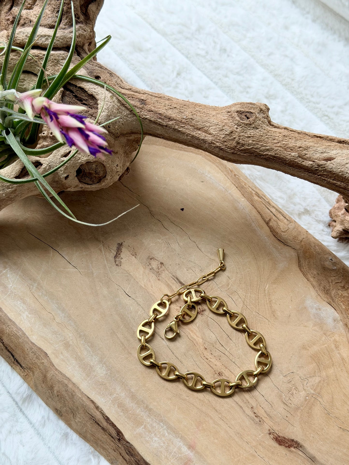 Gold Stainless Steel Mariner Chain Bracelet