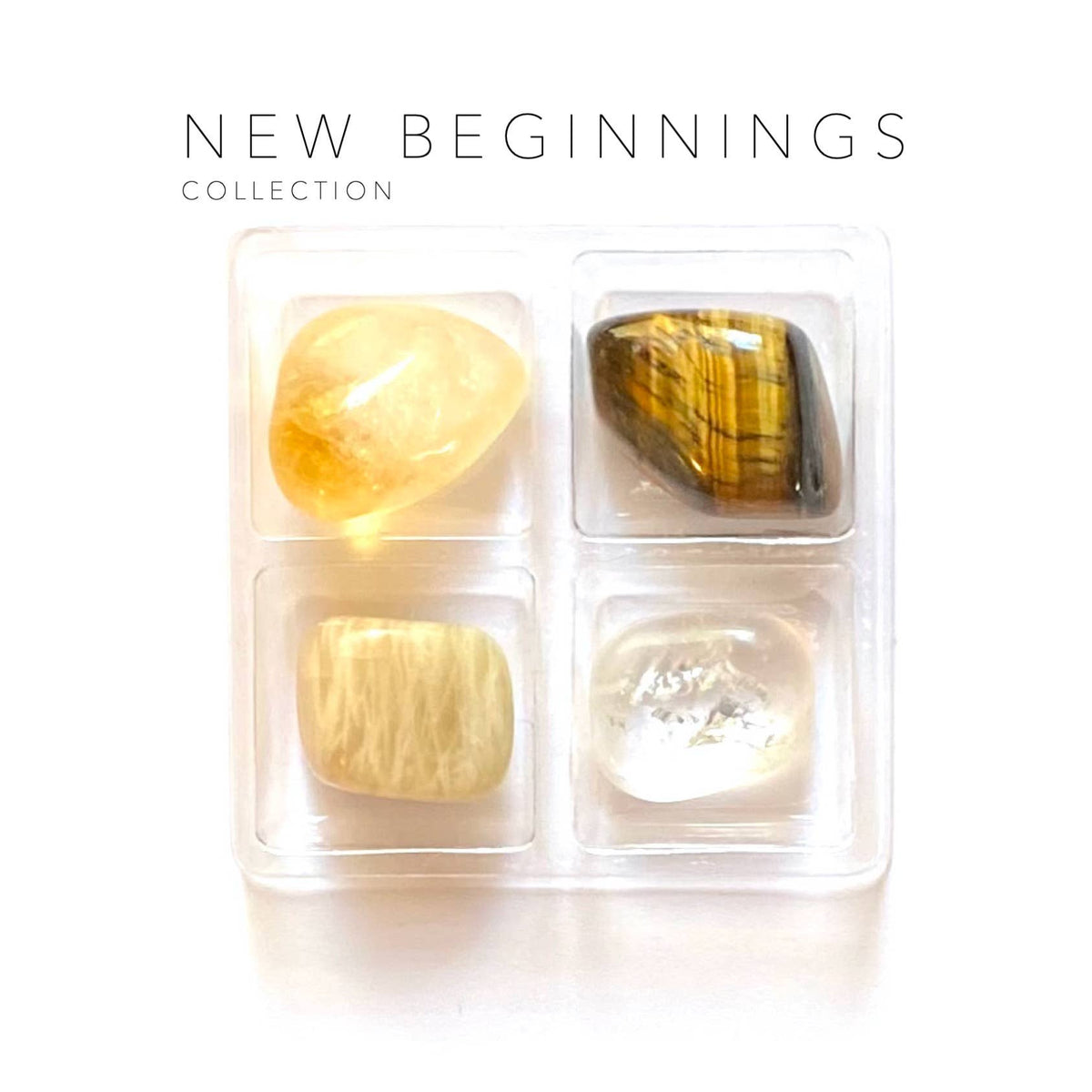 New Beginnings - Rox Box
