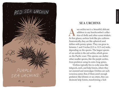 Beachcombing