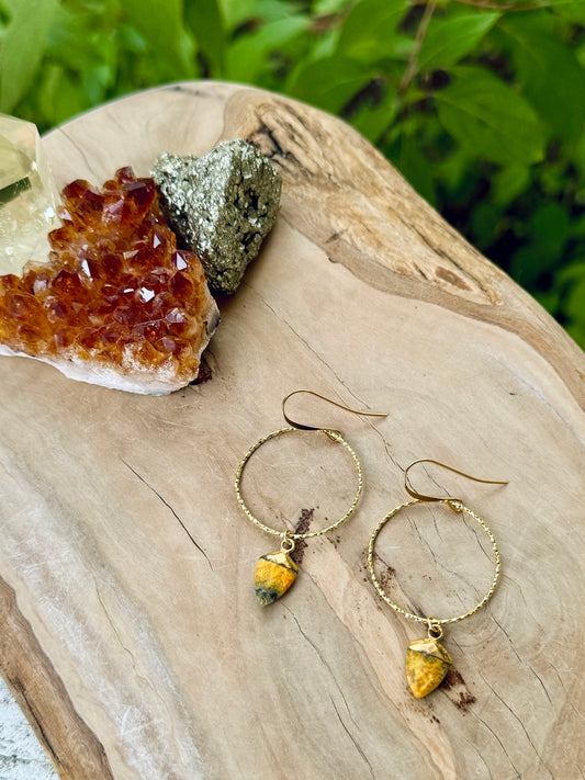 Bumblebee Jasper + Gold Circle Earrings