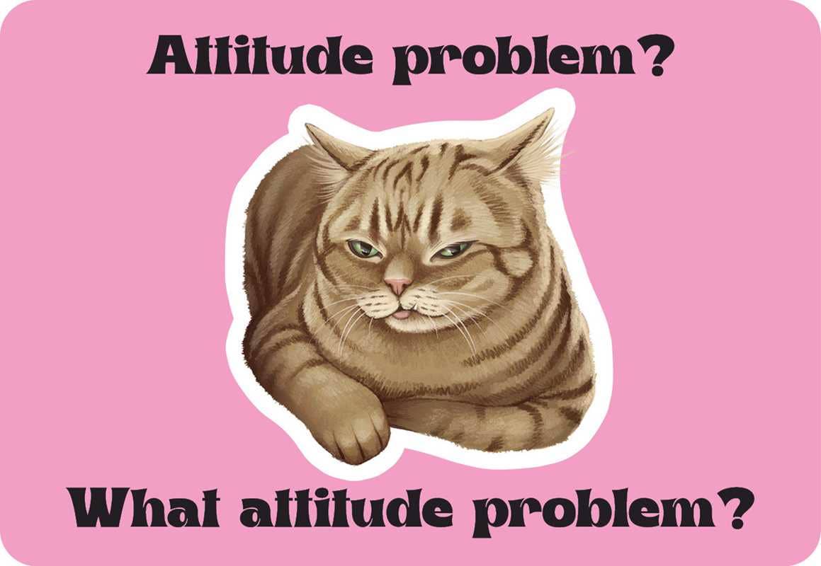 Cattitude by Rockpool  Publishing