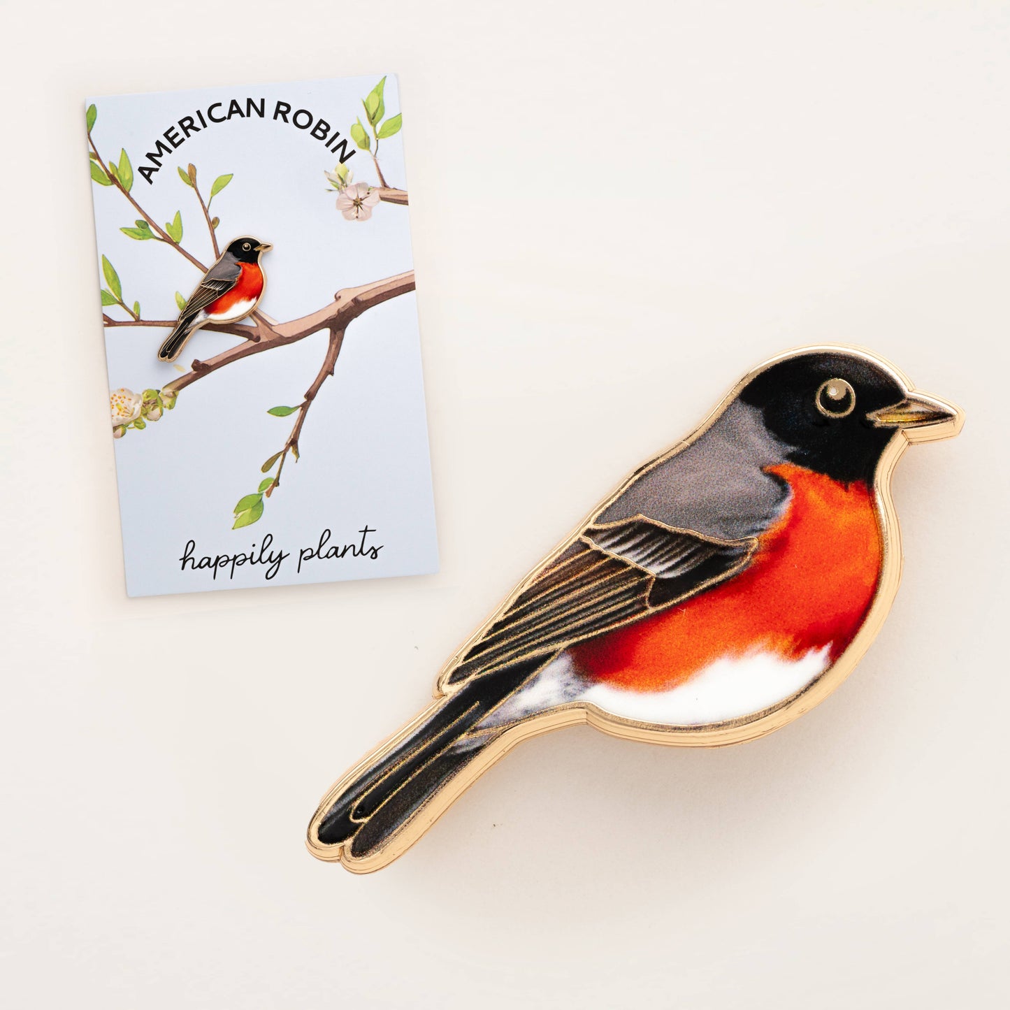 Robin Bird Pin