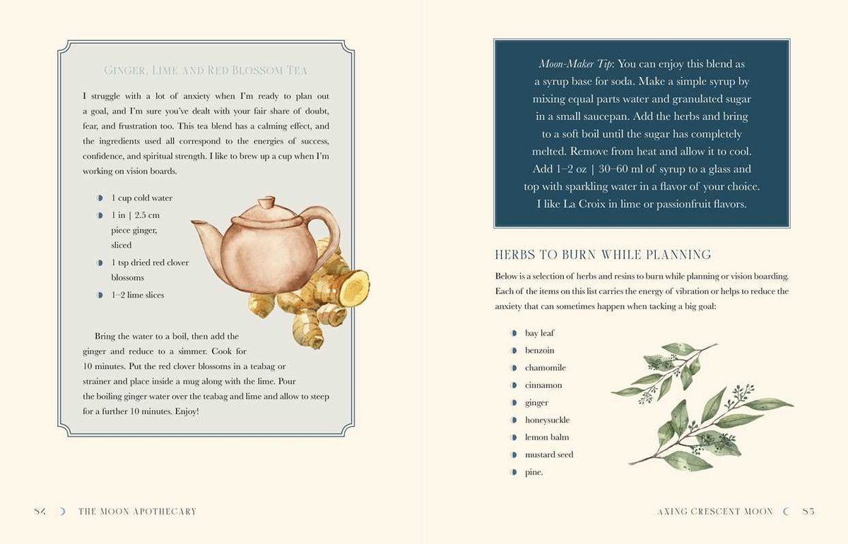 Moon Apothecary by Lorriane Anderson