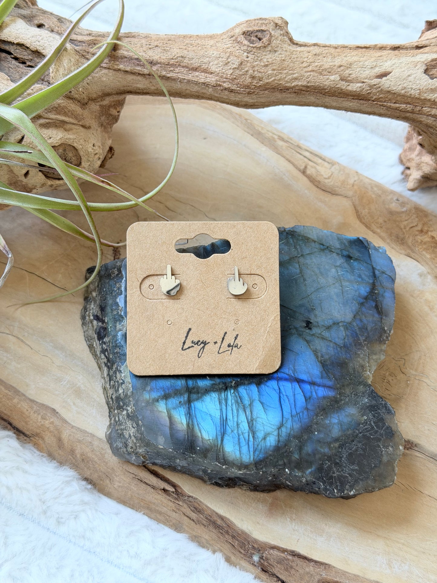 Middle Finger Stainless Steel Stud Earrings