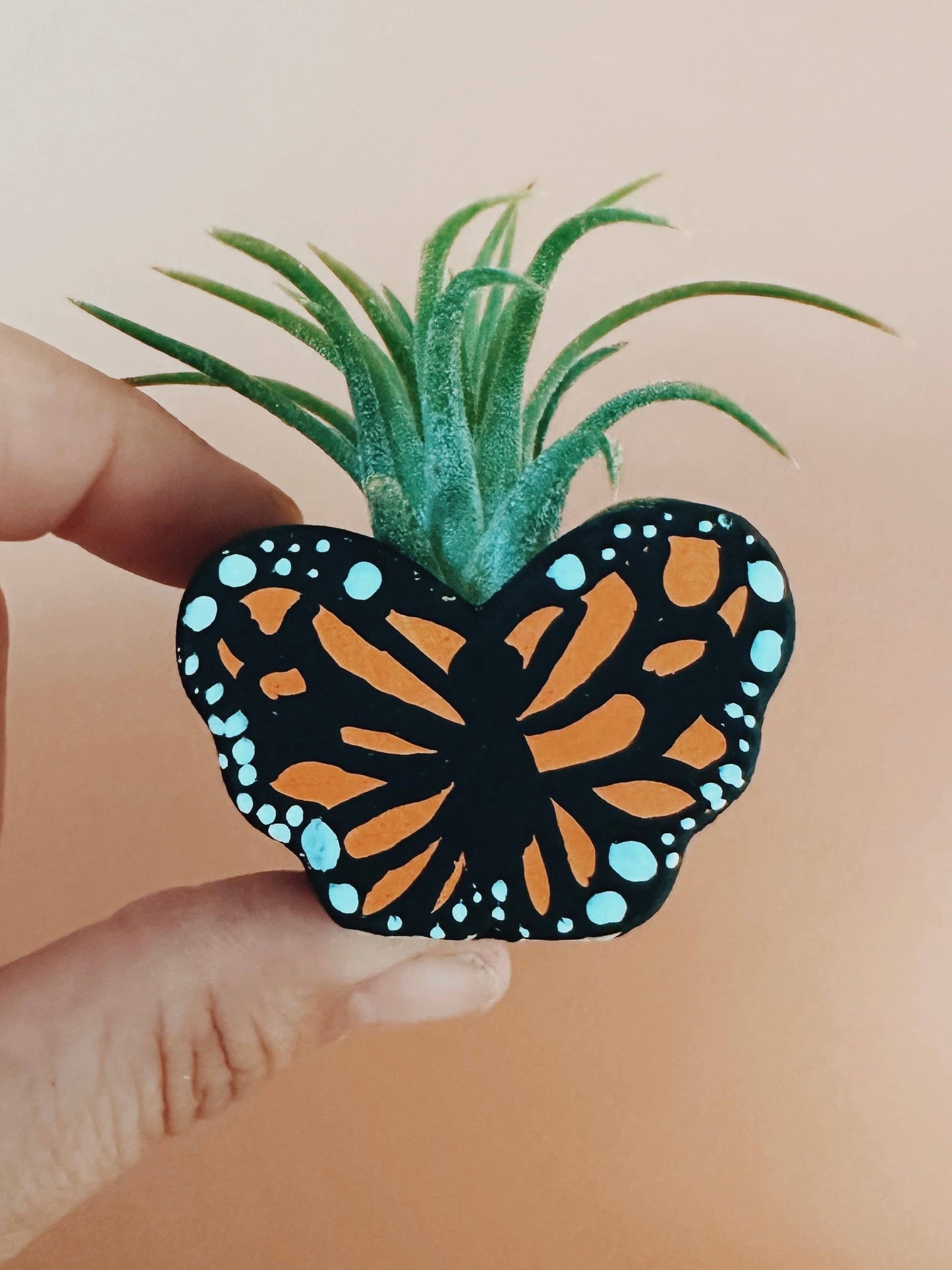 Monarch Butterfly Mini Planter with Air Plant