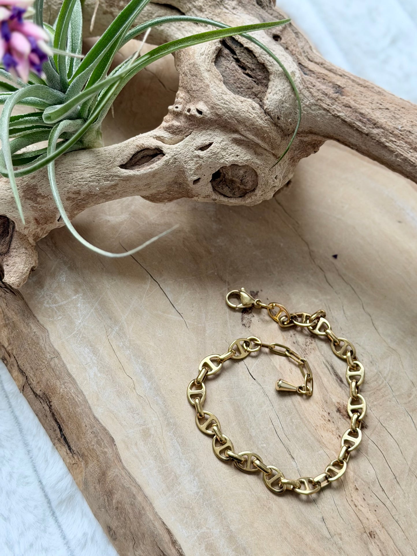 Gold Stainless Steel Mariner Chain Bracelet