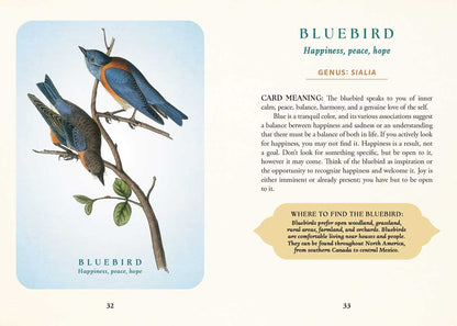 Spiritual Meaning of Birds Oracle Deck by Arin Murphy-Hiscock