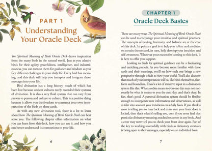 Spiritual Meaning of Birds Oracle Deck by Arin Murphy-Hiscock