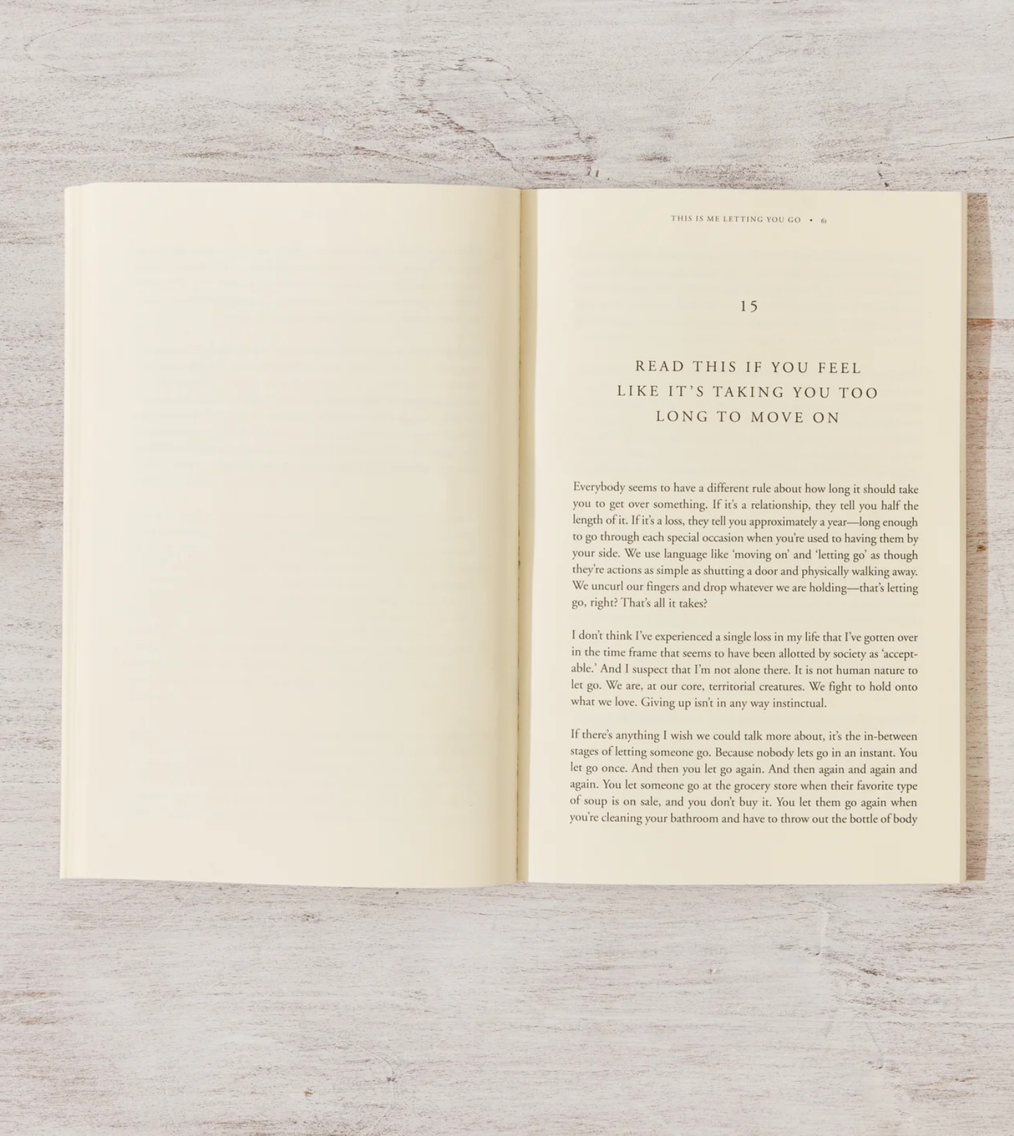 This Is Me Letting You Go by Heidi Priebe