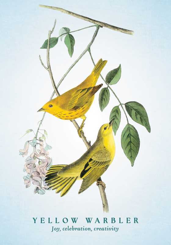 Spiritual Meaning of Birds Oracle Deck by Arin Murphy-Hiscock