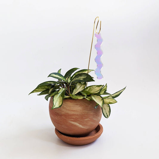 Iridescent Wiggle for Houseplants