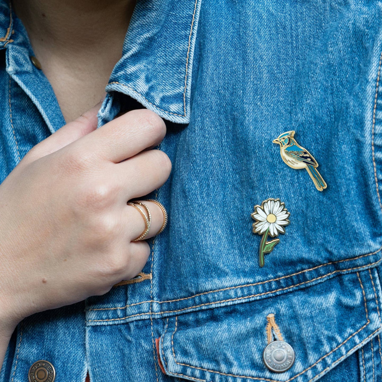 Blue Jay Pin