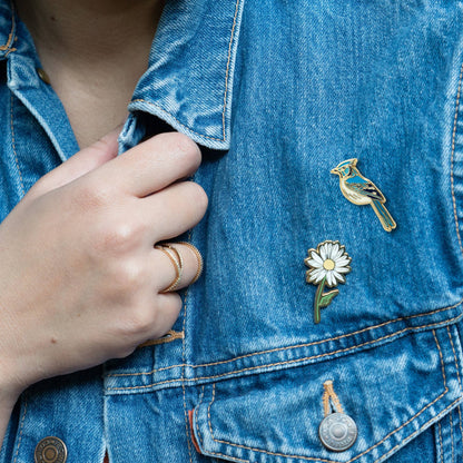 Blue Jay Pin