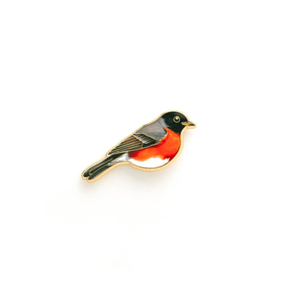 Robin Bird Pin
