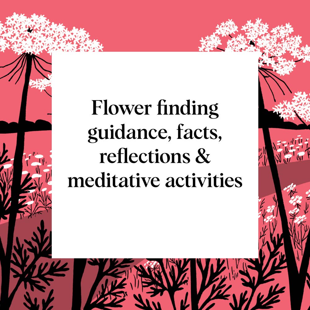 Flower Finding