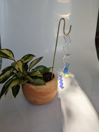 Iridescent Wiggle for Houseplants