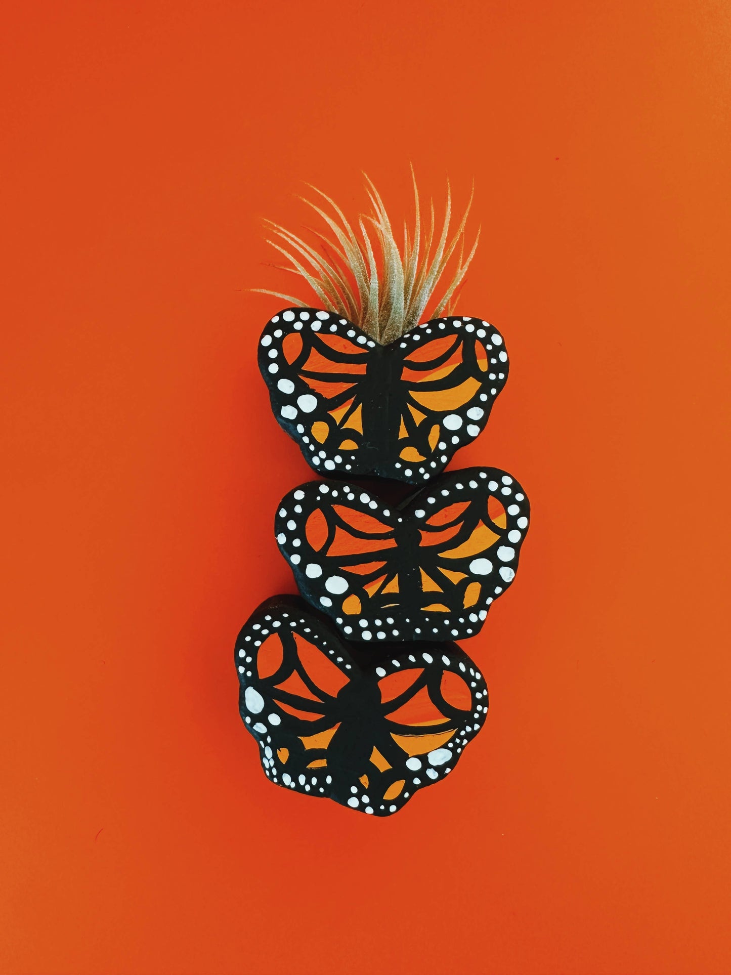 Monarch Butterfly Mini Planter with Air Plant