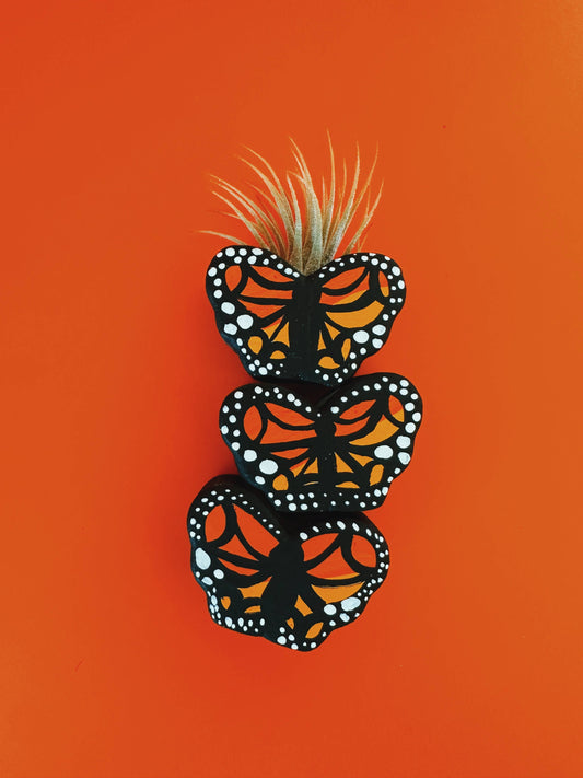 Monarch Butterfly Mini Planter with Air Plant