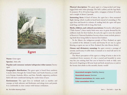 Hidden Meaning of Birds--A Spiritual Field Guide by Arin Murphy-Hiscock