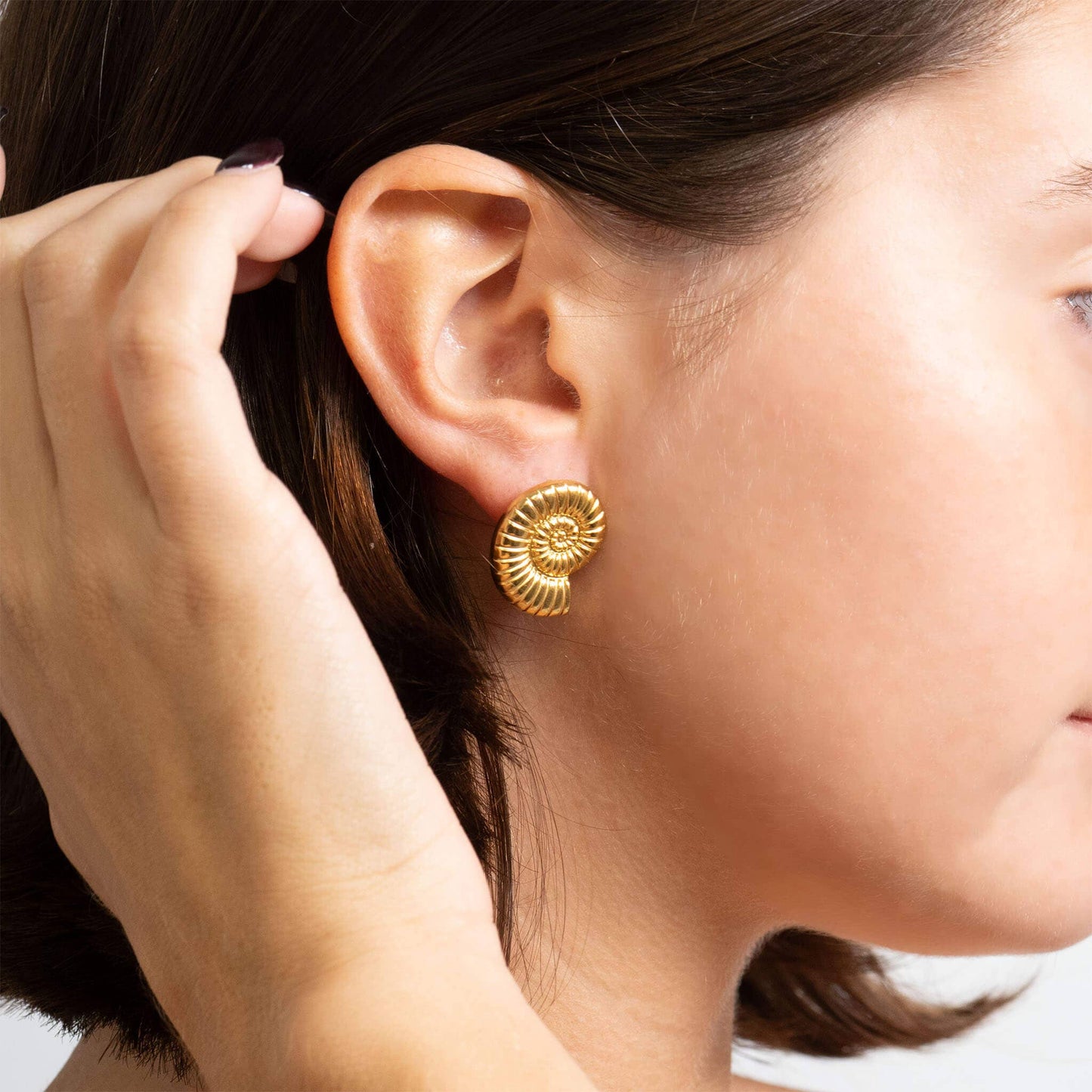 Stainless Steel Nautilus Earrings