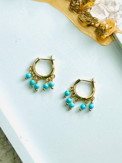 Turquoise + Gold Fringe Earrings