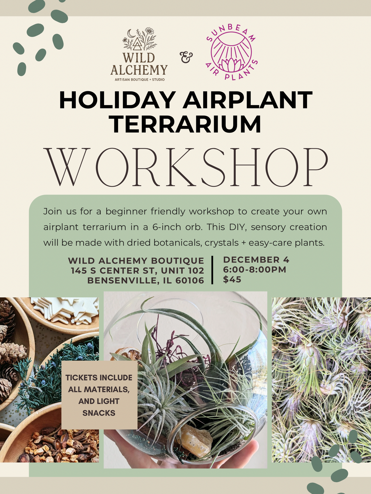 Holiday Airplant Terrarium Workshop at Wild Alchemy