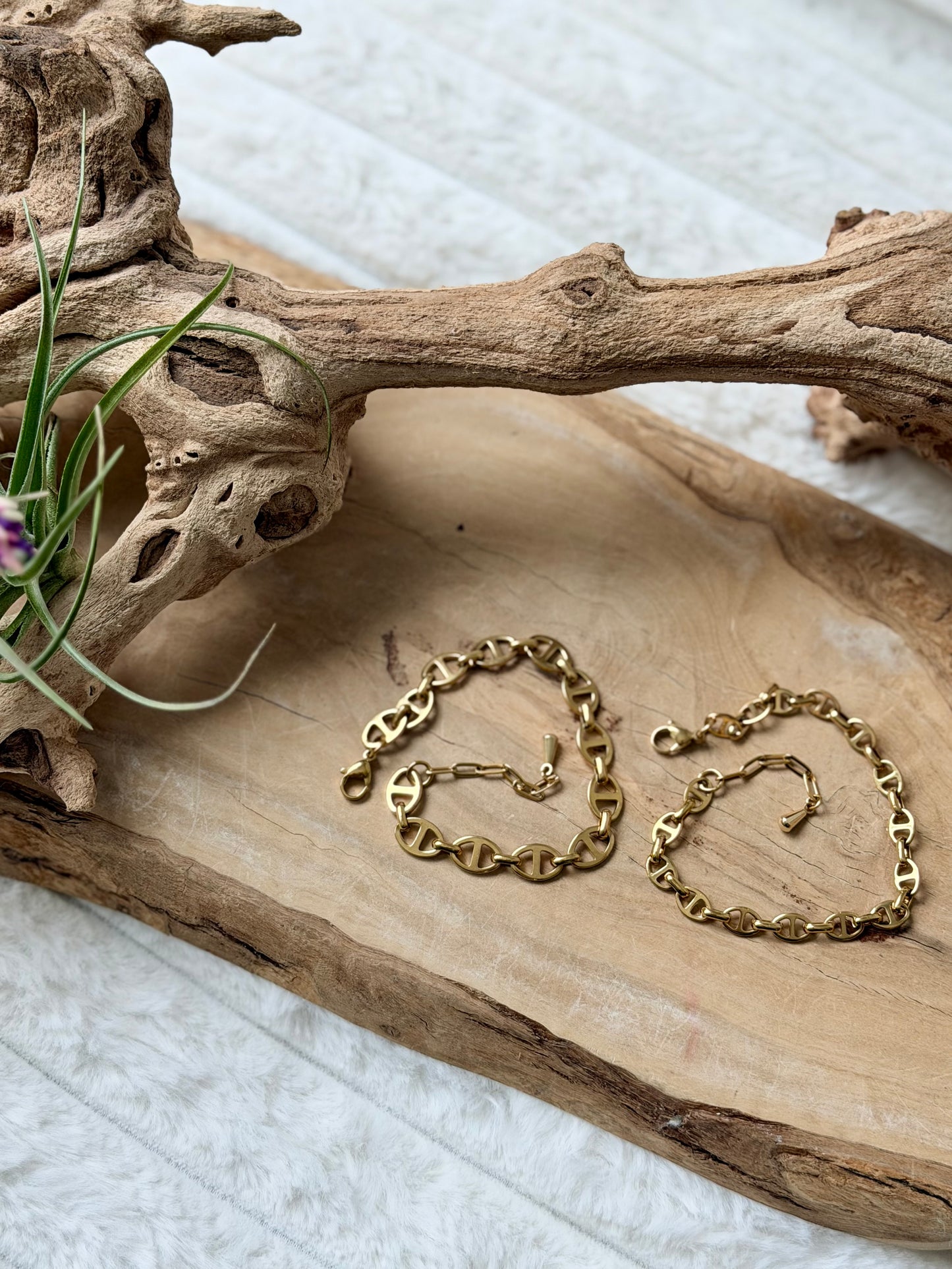Gold Stainless Steel Mariner Chain Bracelet