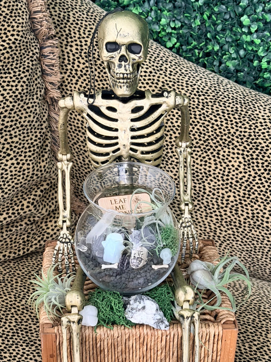 Airplant Cemetarium Workshop - October 23, 2026