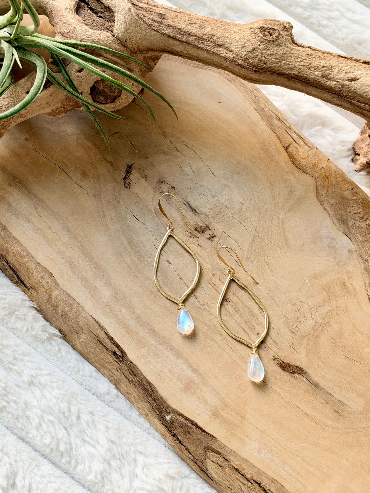 Madagascar Rainbow Moonstone + Gold Earrings