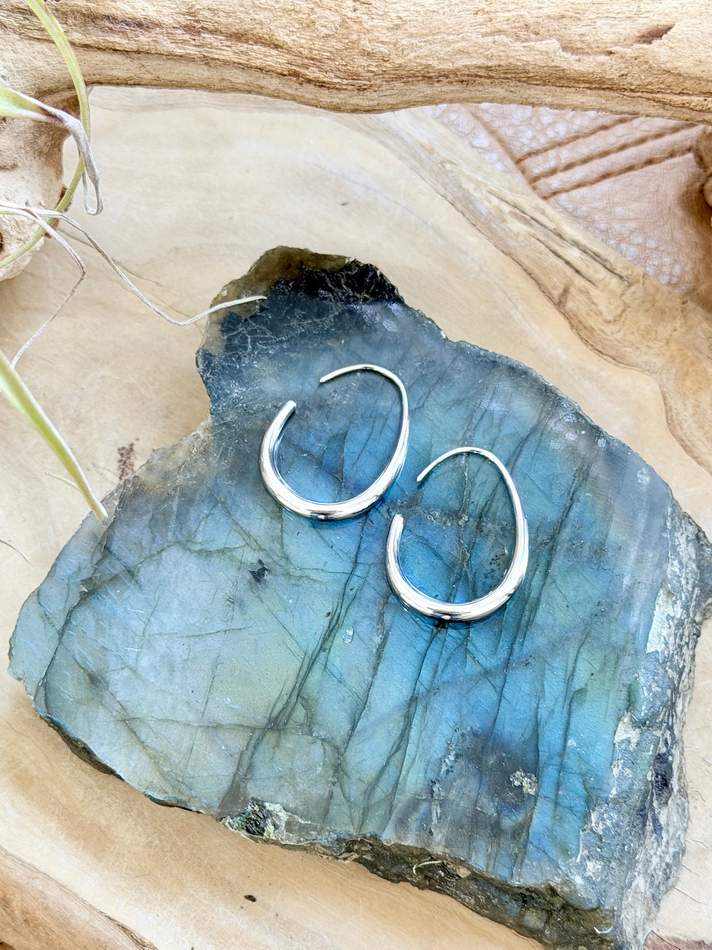Open Hoop Stainless Steel Earrings