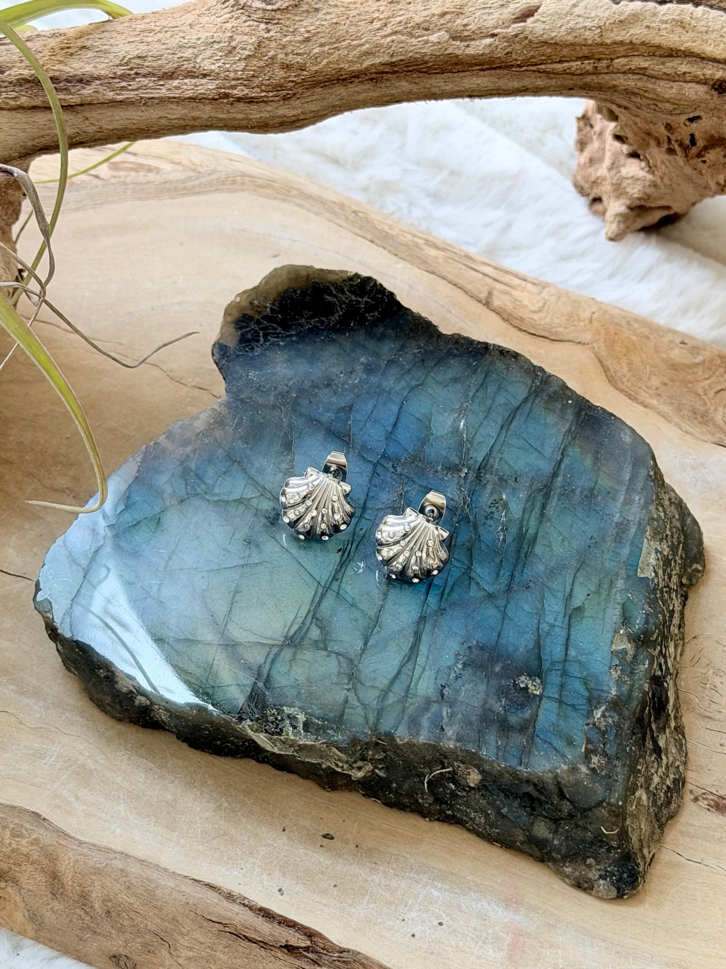 Zircon + Stainless Steel Shell Earring