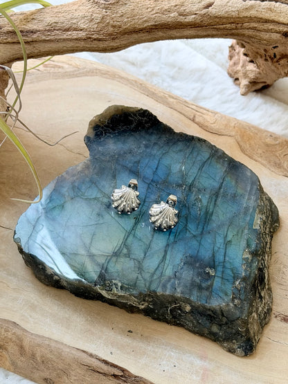 Zircon + Stainless Steel Shell Earring