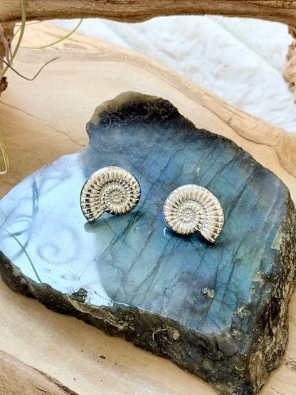 Stainless Steel Nautilus Earrings