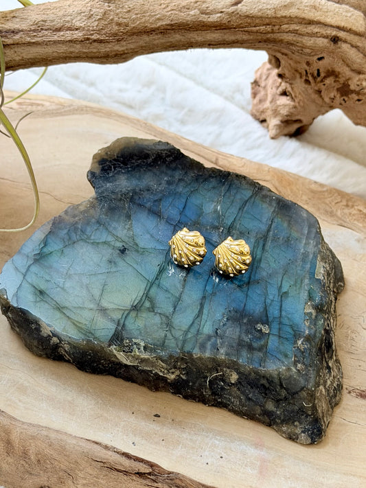 Zircon + Stainless Steel Shell Earring