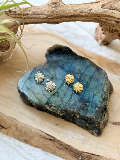 Zircon + Stainless Steel Shell Earring