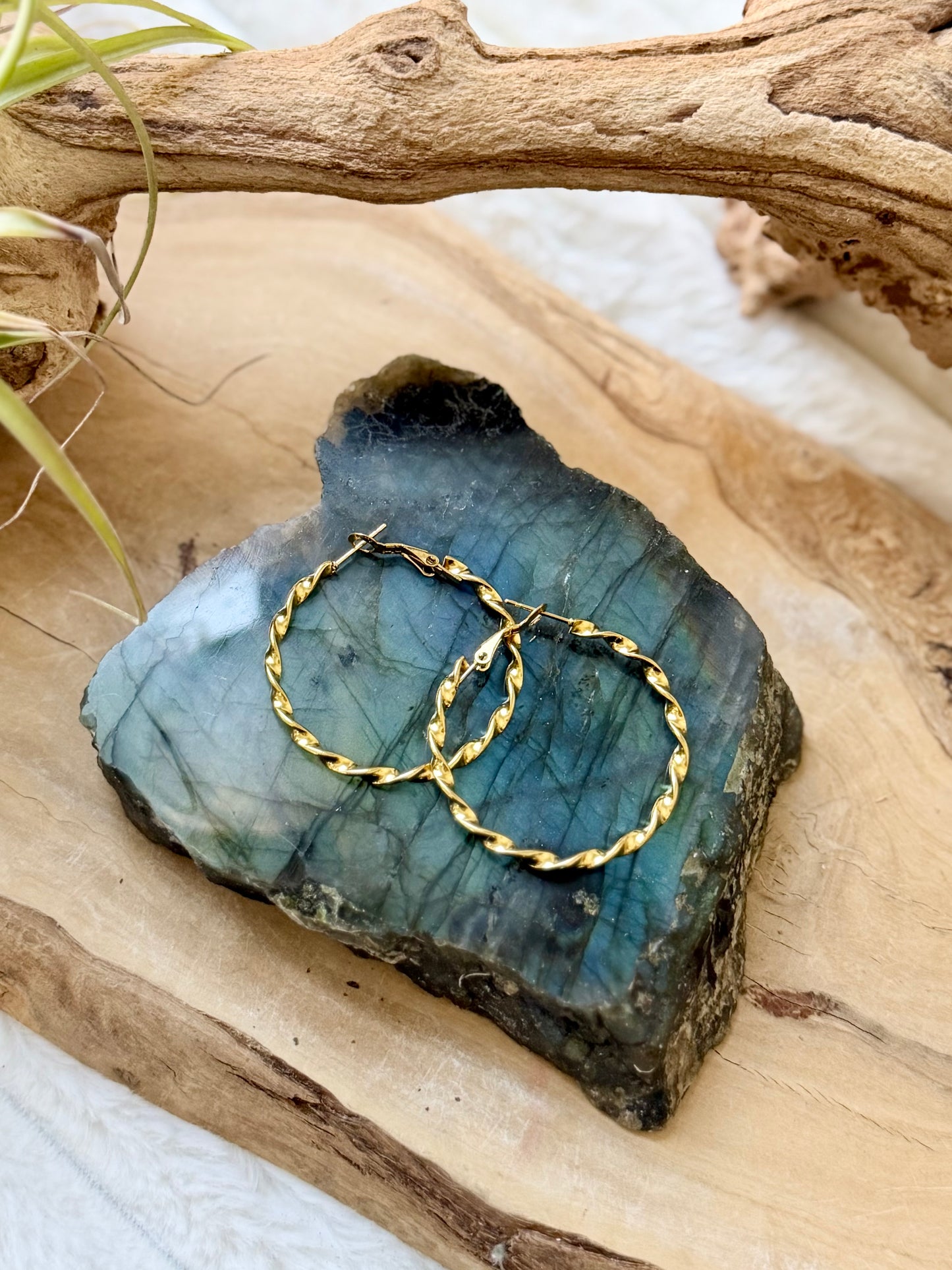 Stainless Steel Twist Hoop Earrings