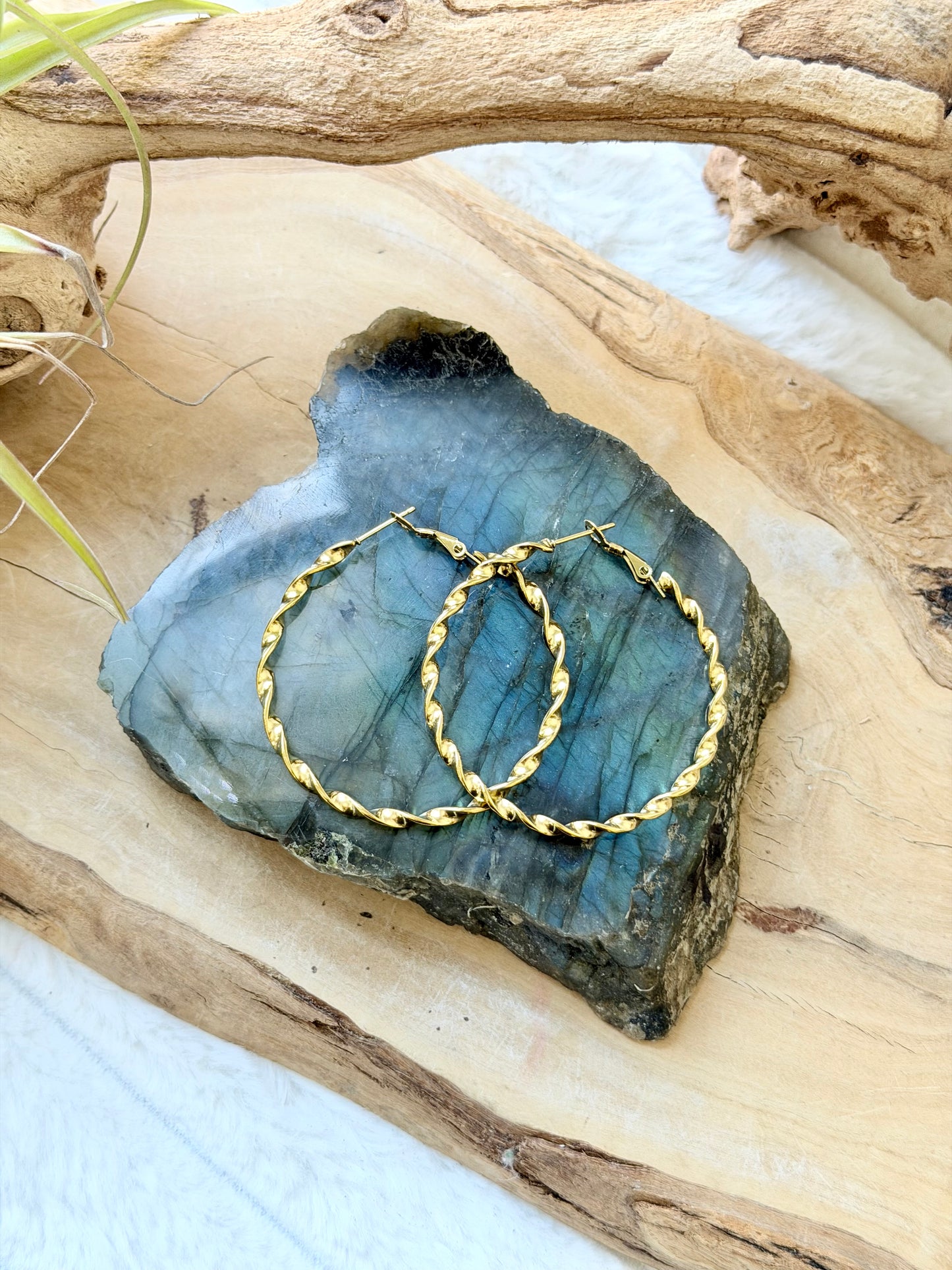 Stainless Steel Twist Hoop Earrings