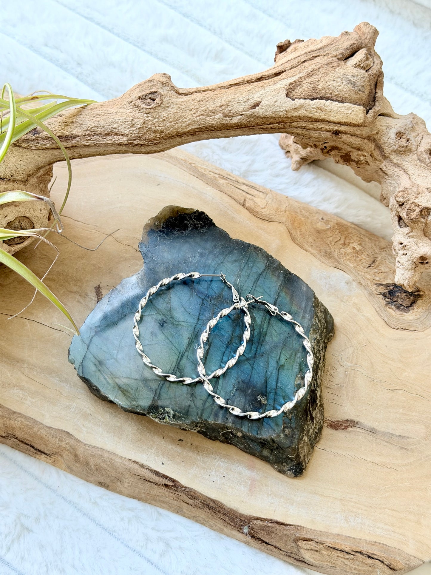 Stainless Steel Twist Hoop Earrings