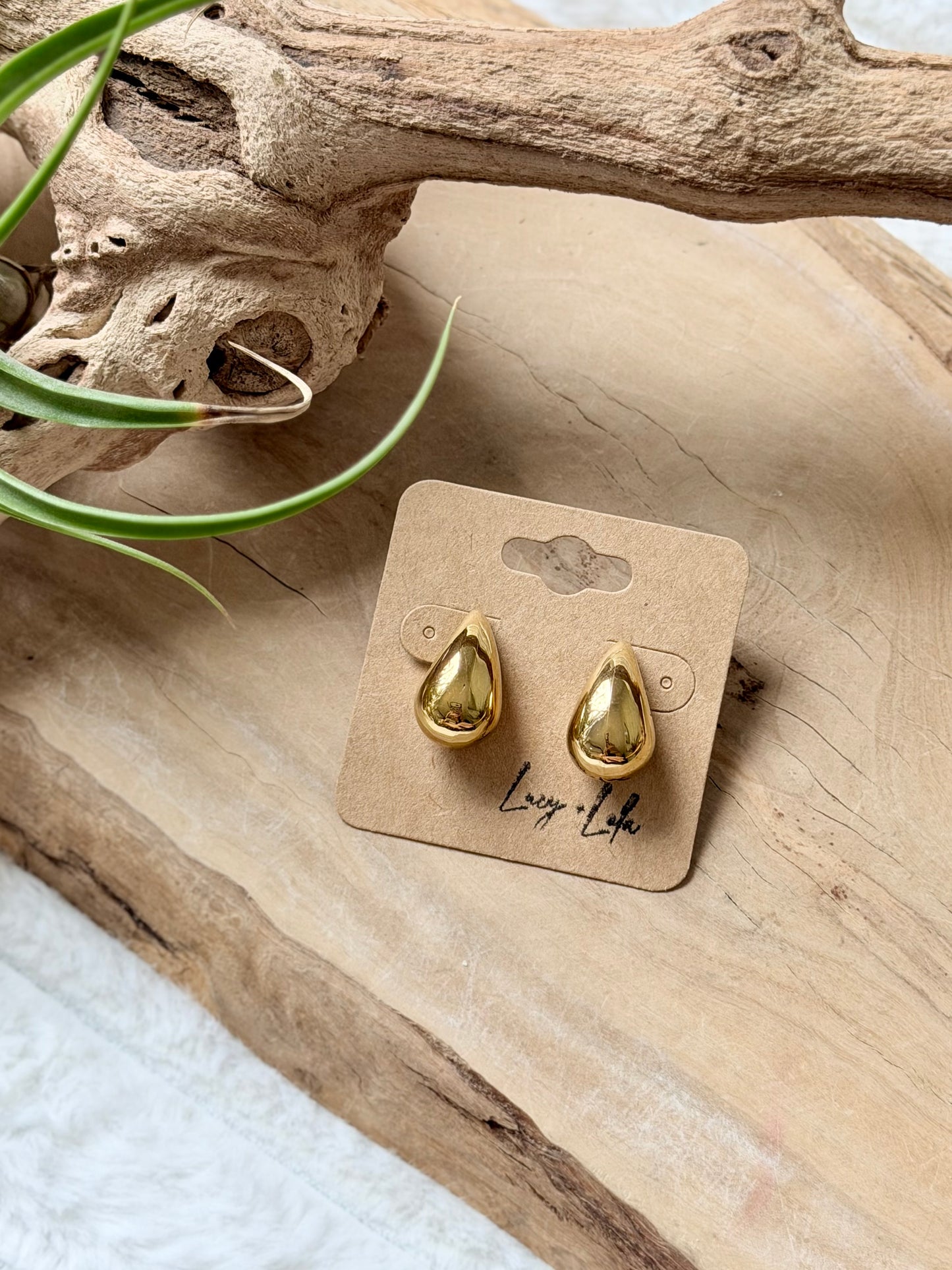 Stainless Steel Tear Drop Earrings