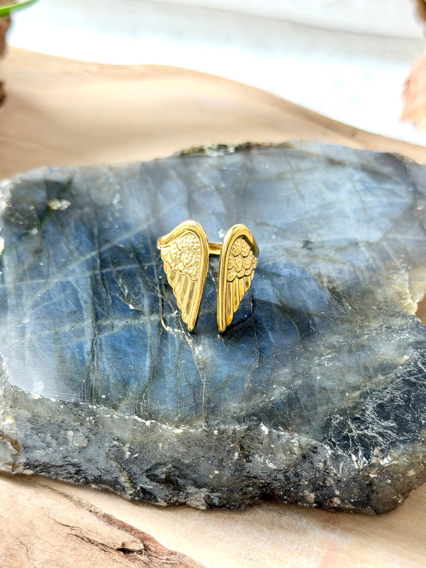 Stainless Steel Angel Wing Ring
