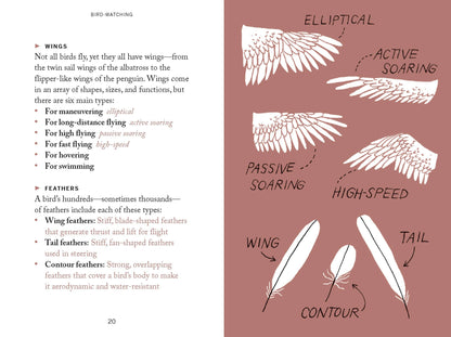 Pocket Nature: Bird-Watching
