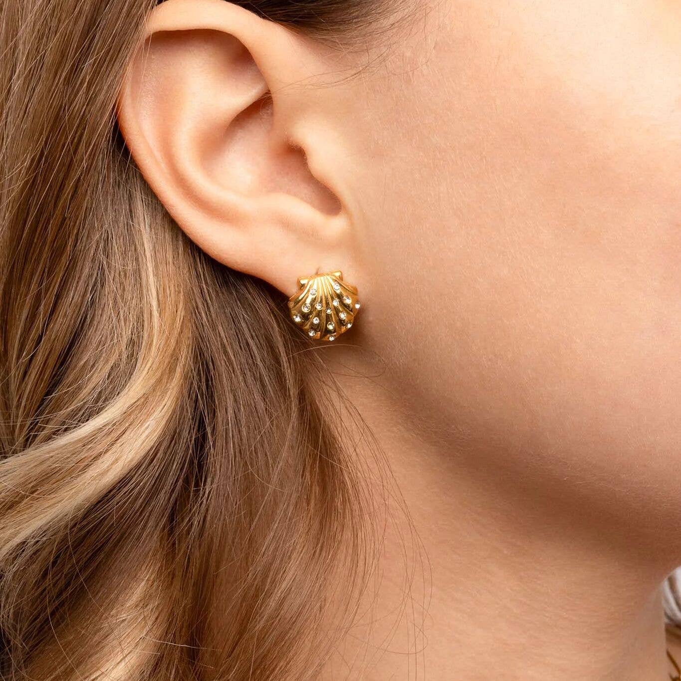 Zircon + Stainless Steel Shell Earring