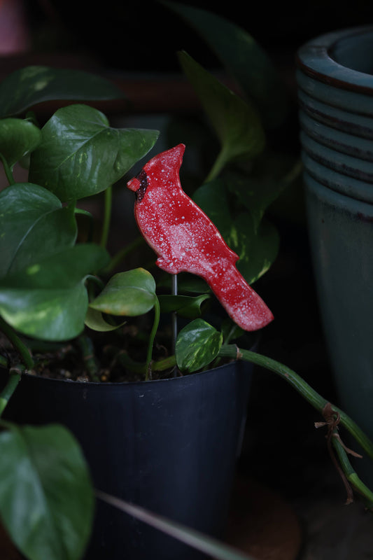 Cardinal Plant Buddies